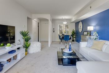 A living room with a blue accent wall and a white couch